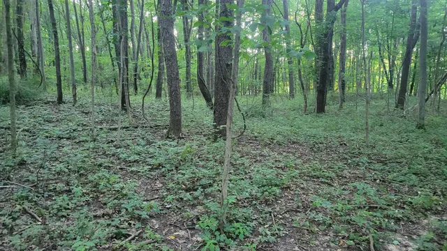 $537,000 | 44702 B 56th Avenue, Paw Paw, MI 49079