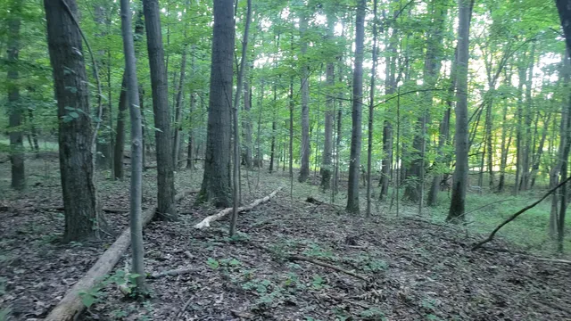 $537,000 | 44702 B 56th Avenue, Paw Paw, MI 49079