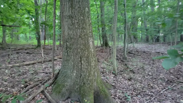 $537,000 | 44702 B 56th Avenue, Paw Paw, MI 49079