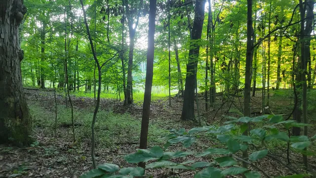 $537,000 | 44702 B 56th Avenue, Paw Paw, MI 49079