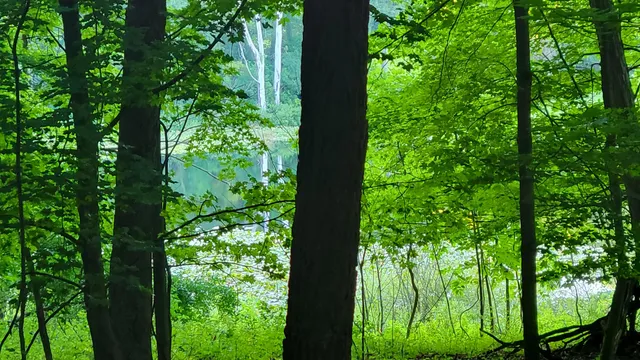 $537,000 | 44702 B 56th Avenue, Paw Paw, MI 49079