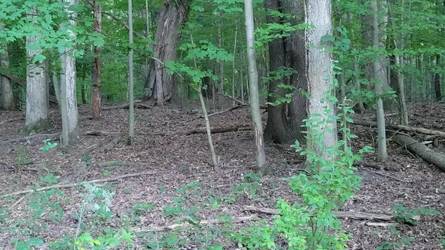 $537,000 | 44702 B 56th Avenue, Paw Paw, MI 49079