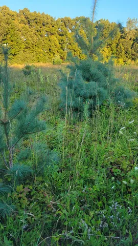 $537,000 | 44702 B 56th Avenue, Paw Paw, MI 49079