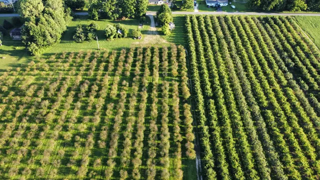 $537,000 | 44702 B 56th Avenue, Paw Paw, MI 49079