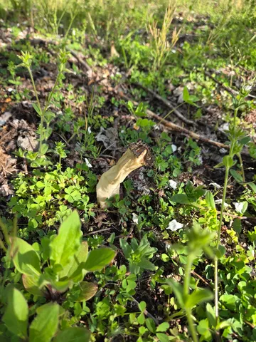 $537,000 | 44702 B 56th Avenue, Paw Paw, MI 49079