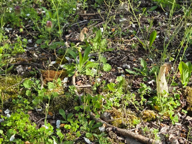 $537,000 | 44702 B 56th Avenue, Paw Paw, MI 49079