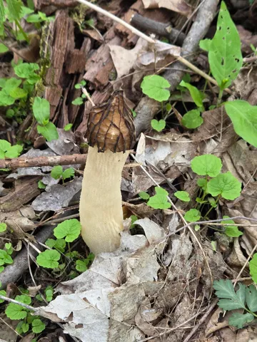 $537,000 | 44702 B 56th Avenue, Paw Paw, MI 49079