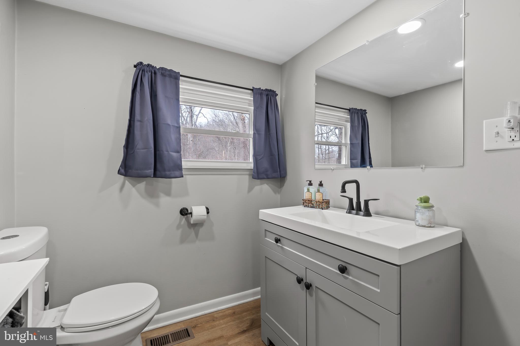 5150 Nursery Road Dover, PA 17315 - Photo 15 of 38 a bathroom with a sink a toilet and a mirror