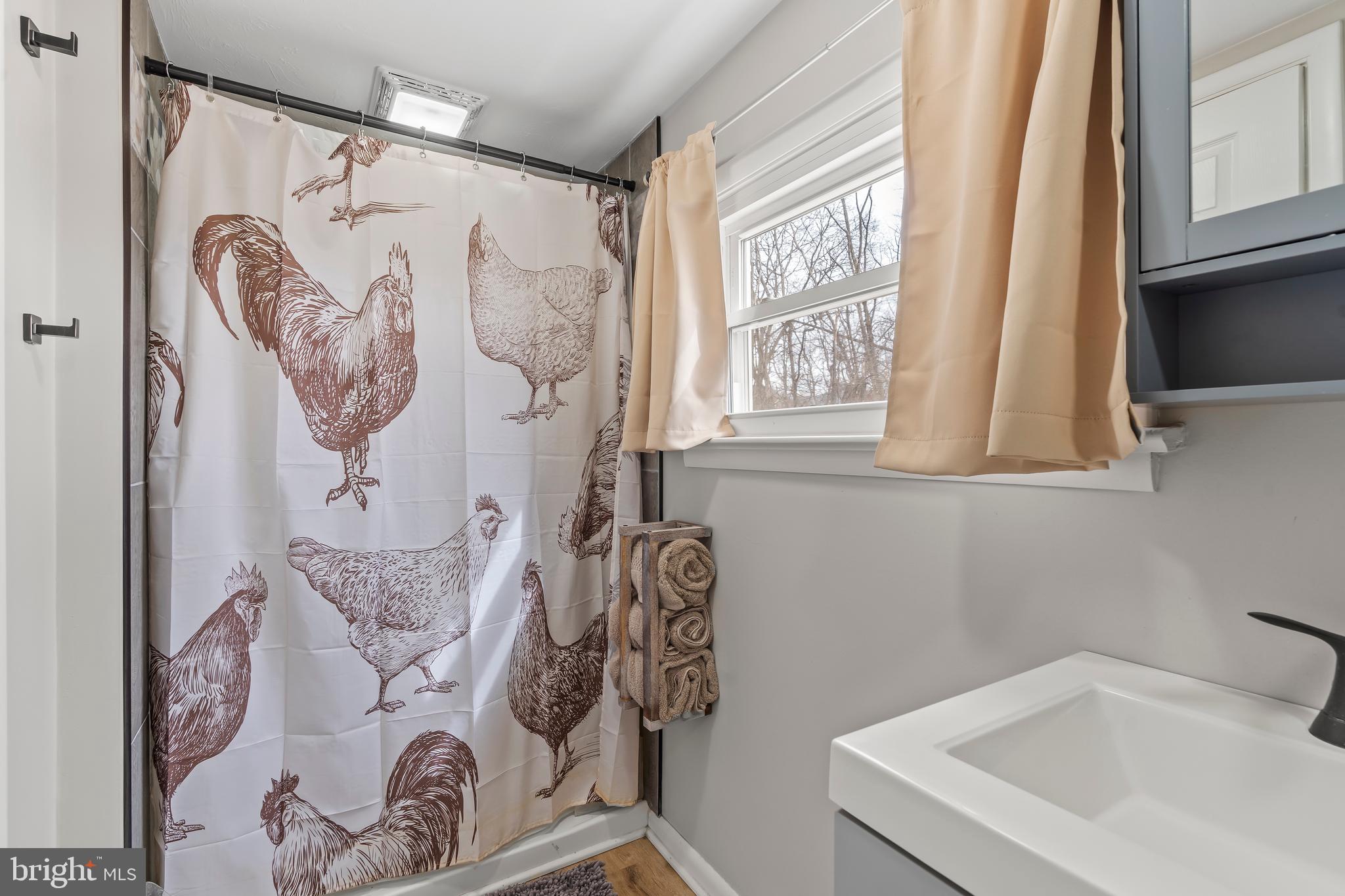 5150 Nursery Road Dover, PA 17315 - Photo 23 of 38 a bathroom with a sink and mirror with window