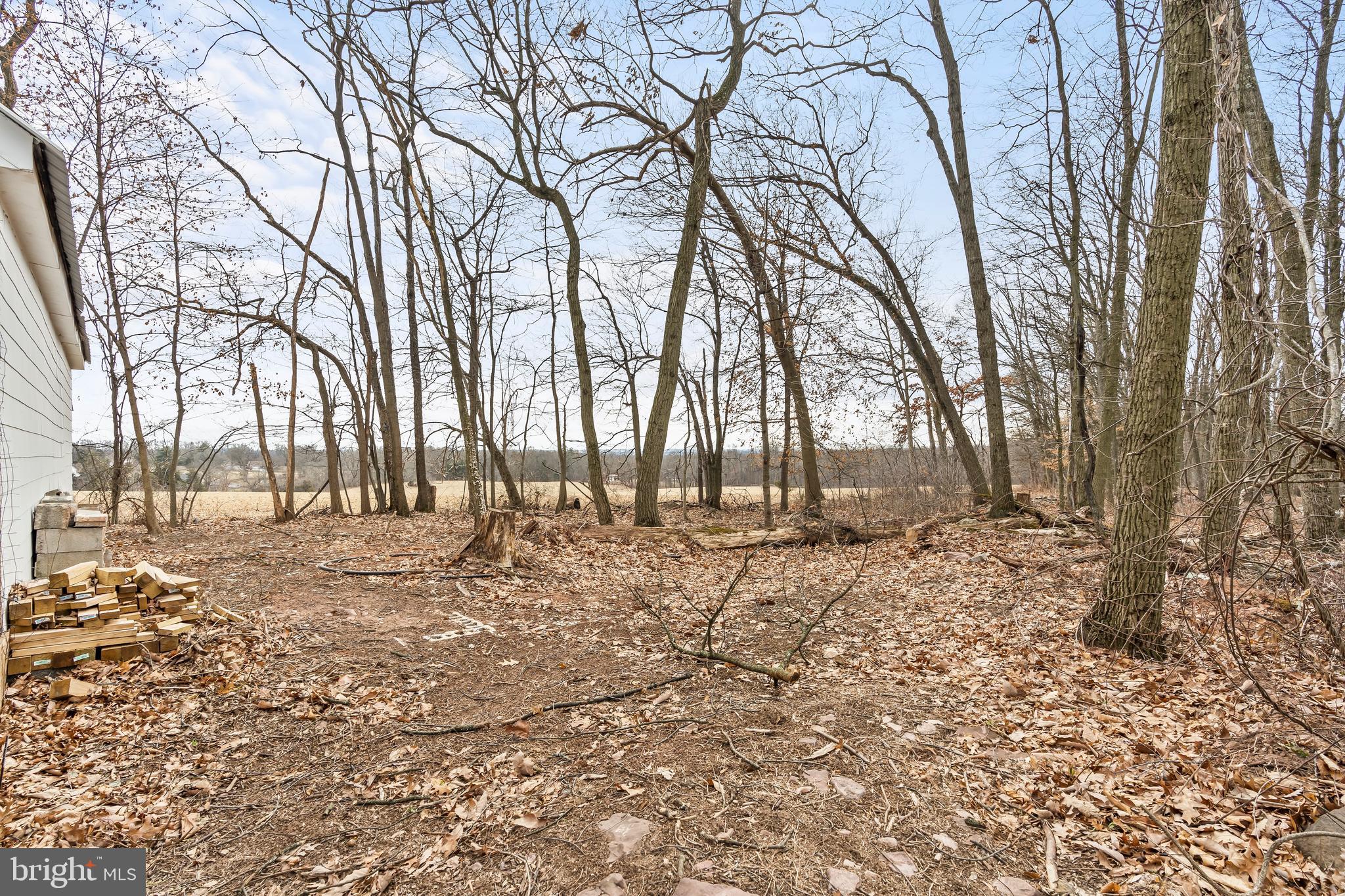 5150 Nursery Road Dover, PA 17315 - Photo 38 of 38 a view of yard with trees