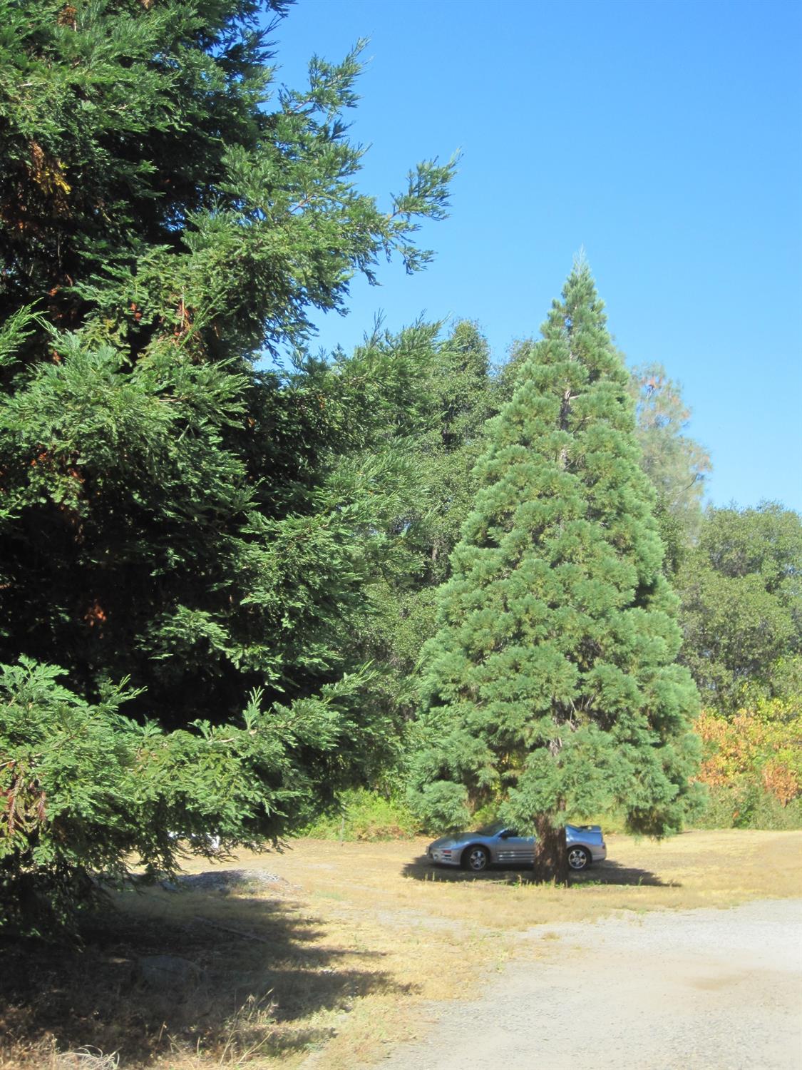 31684 Duke Road North Fork, CA 93643 - Photo 19 of 19 Gallery Image 19