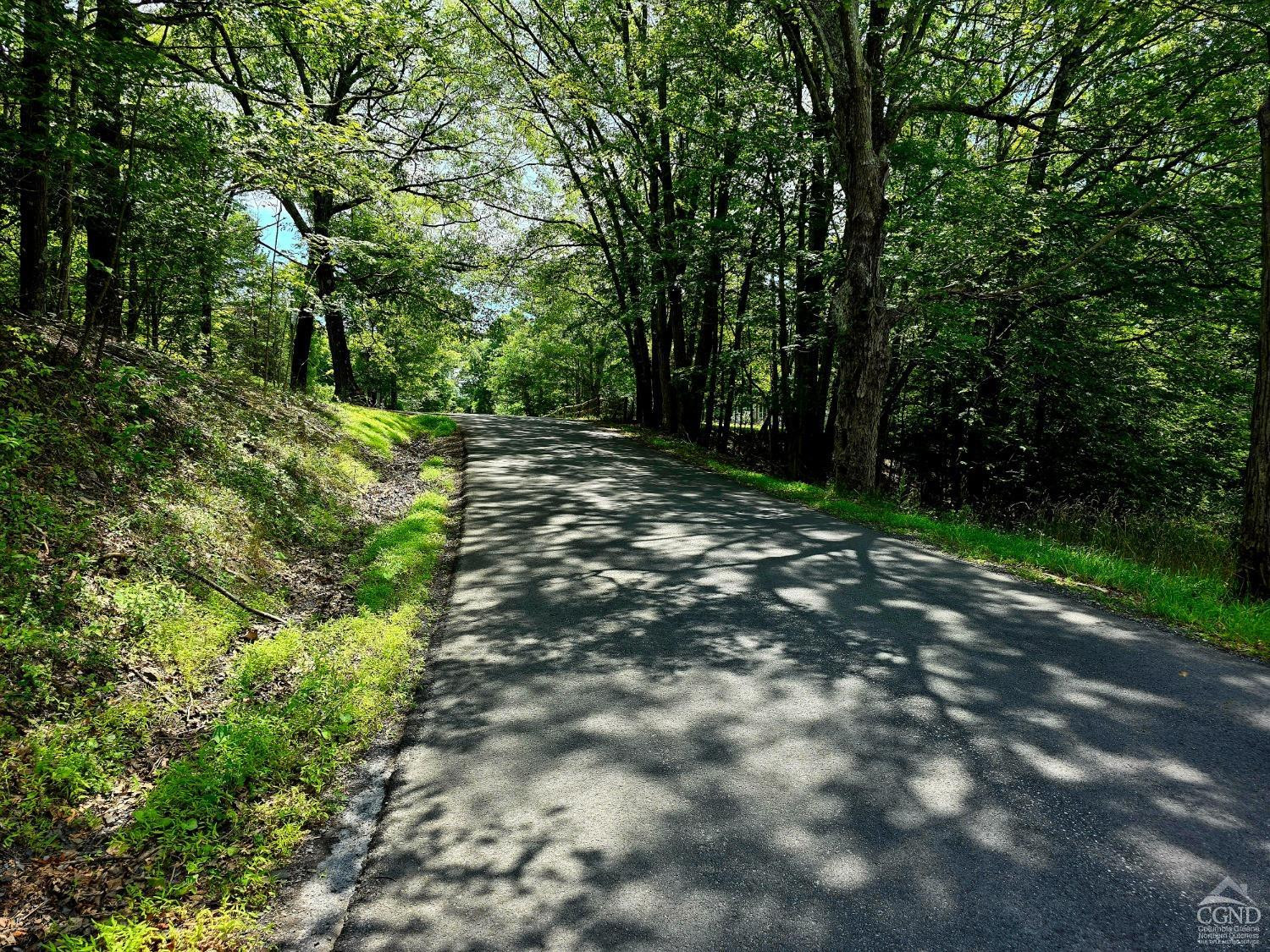 96 Deyo Road Alcove, NY 12007 - Photo 5 of 5 a view of a forest with trees in the background