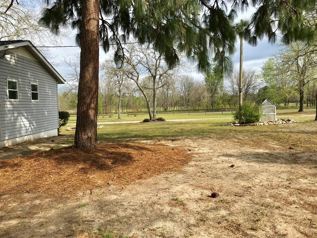 305 Beck Road Williston, SC 29853 - Photo 13 of 31