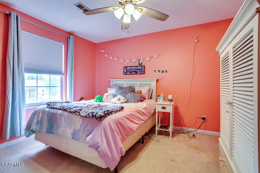7225 Agatha Road Corryton, TN 37721 - Photo 16 of 26 Gallery Image 16