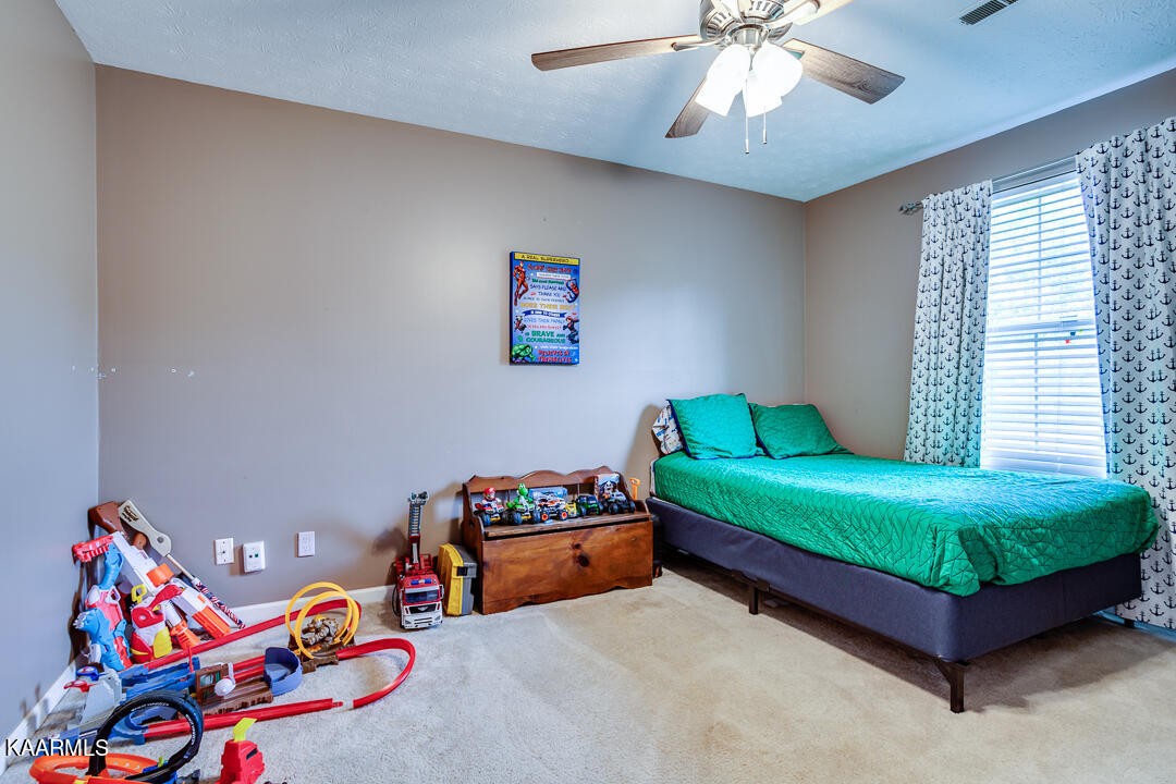 7225 Agatha Road Corryton, TN 37721 - Photo 19 of 26 Gallery Image 19