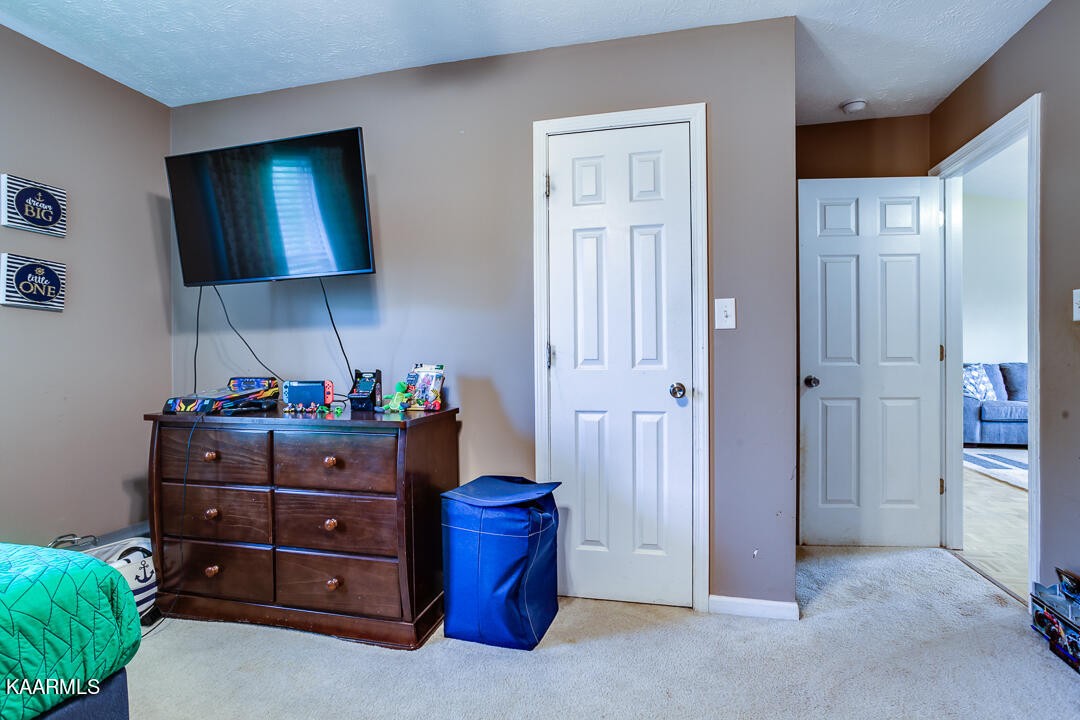 7225 Agatha Road Corryton, TN 37721 - Photo 20 of 26 Gallery Image 20