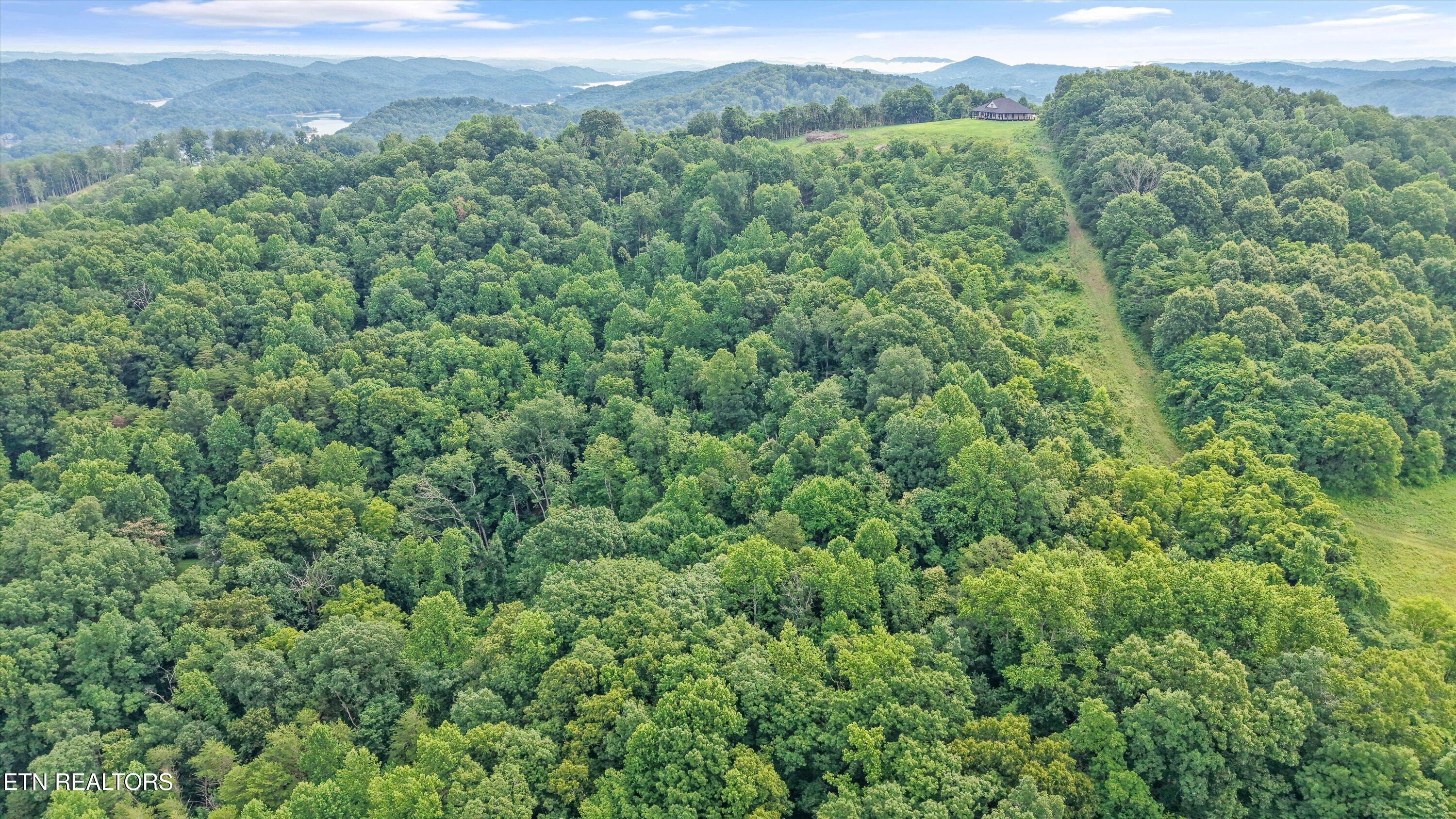 Lot 2 Graves Hollow Road Maynardville, TN 37807 - Photo 6 of 8 6-Graves Hollow Rd06