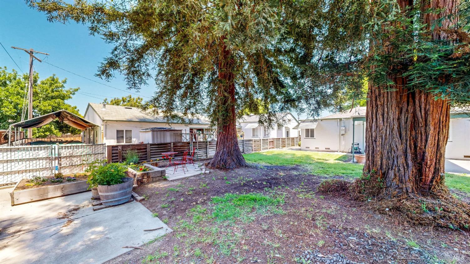 809 Maple Avenue Vallejo, CA 94591 - Photo 32 of 46 a view of a yard with plants and a large tree