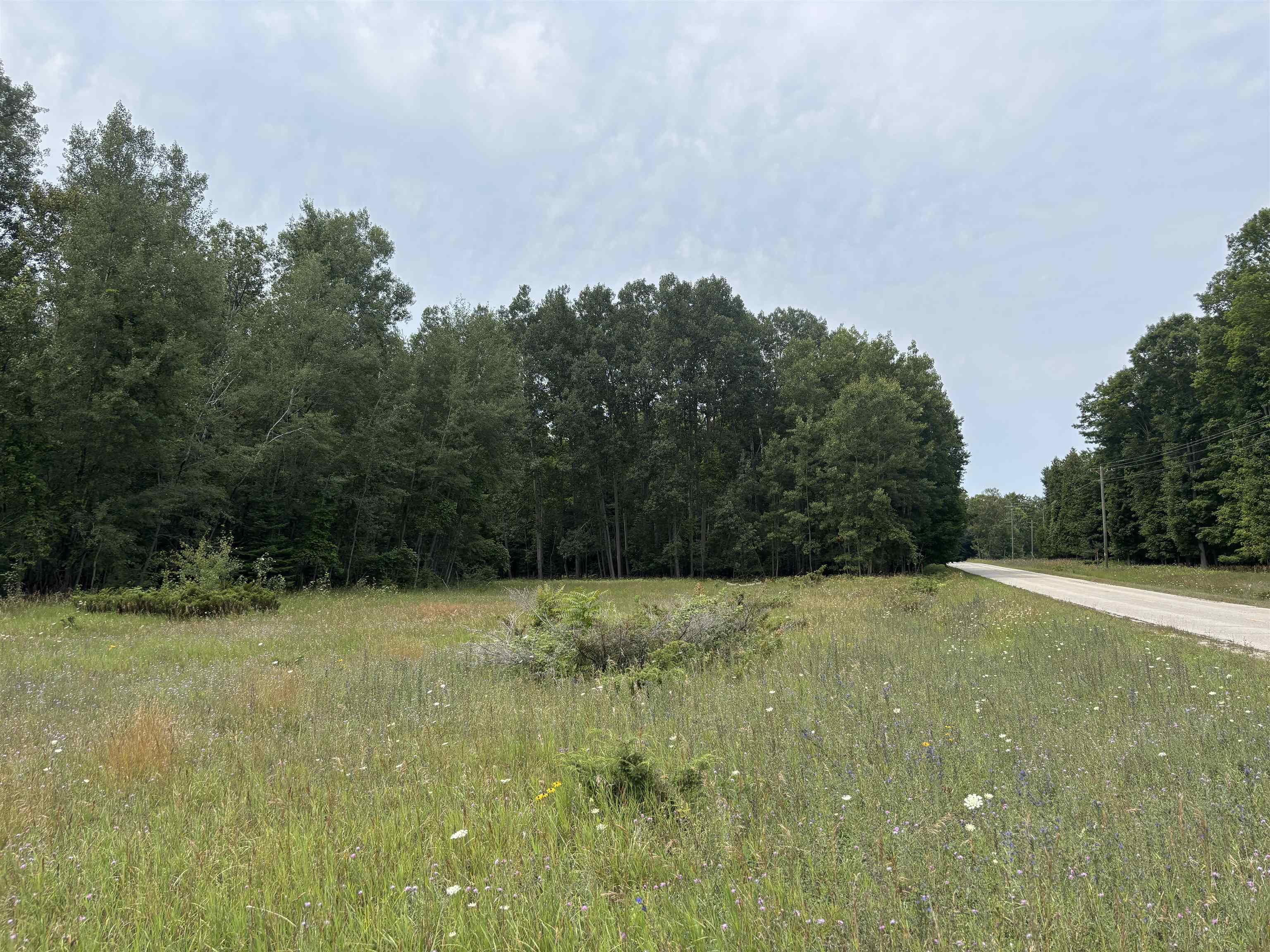 0 Lore Road Ellsworth, MI 49729 - Photo 3 of 15 1948813-fcd885a1-4500-493a-98b9-6c0159aa76d7.JPG