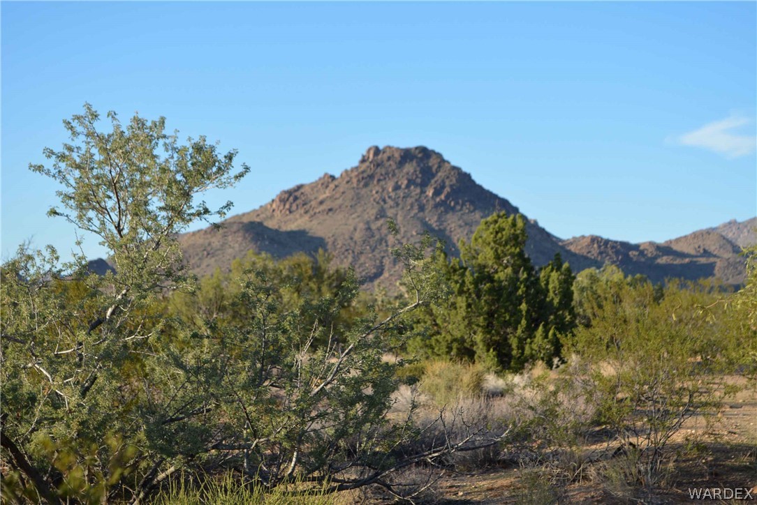19165 South Gold Mine Road Yucca, AZ 86438 - Photo 1 of 8 Gallery Image 1