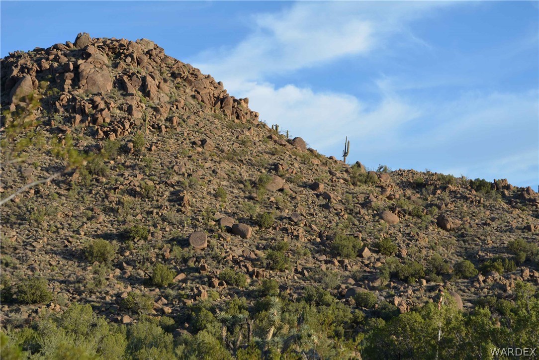 19165 South Gold Mine Road Yucca, AZ 86438 - Photo 5 of 8 Gallery Image 5