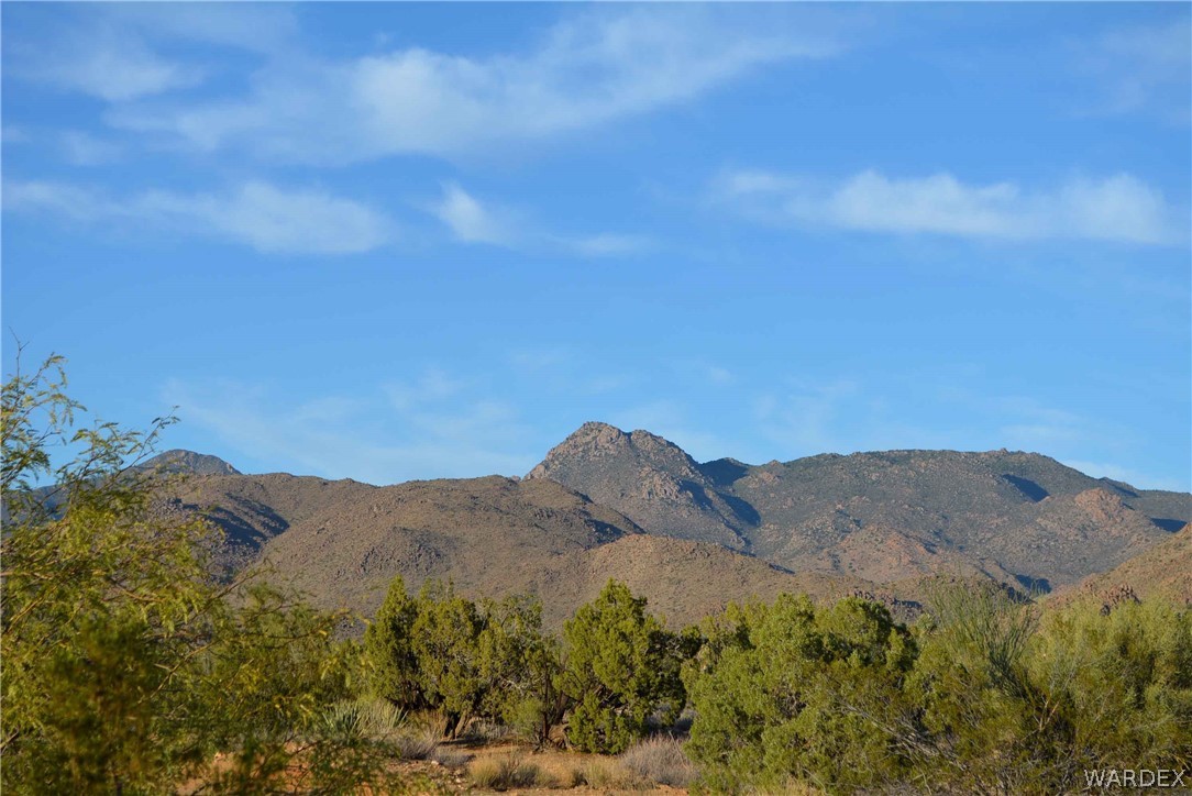 19165 South Gold Mine Road Yucca, AZ 86438 - Photo 7 of 8 Gallery Image 7