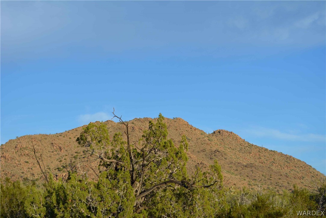 19165 South Gold Mine Road Yucca, AZ 86438 - Photo 8 of 8 Gallery Image 8