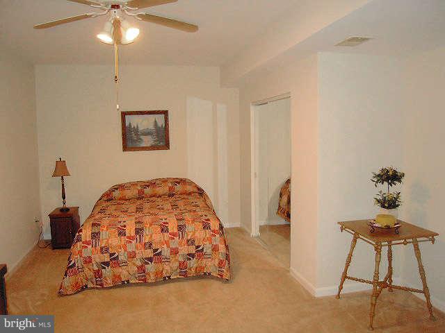 14418 Picket Oaks Road Centreville, VA 20121 - Photo 29 of 30 Lower Level Den (Possible 5th BR)