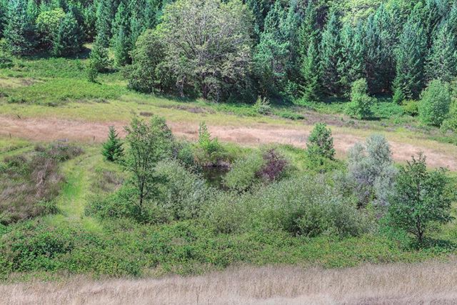 10527 Lower River Road Grants Pass, OR 97526 - Photo 25 of 31 Additional Photo