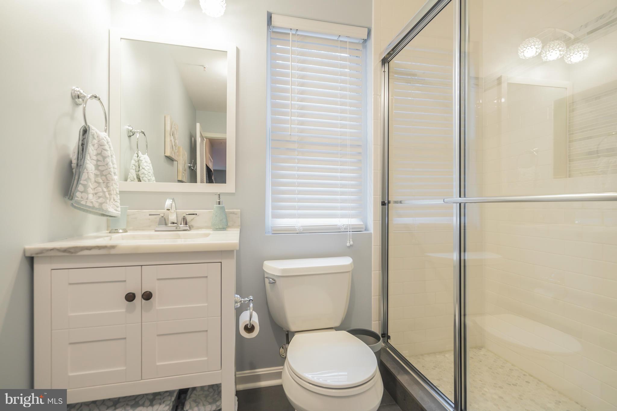 106 Ridgepoint Place Gaithersburg, MD 20878 - Photo 20 of 30 Lower Level Full Bath