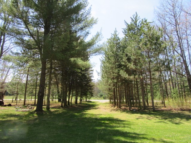 6080 North Merritt Road Merritt, MI 49667 - Photo 24 of 33 1832018-23.JPG