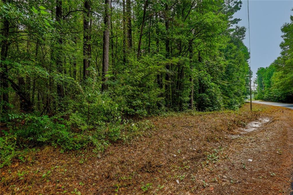 5127 Proctor Lndg Road Acworth, GA 30101 - Photo 8 of 15 Gallery Image 8