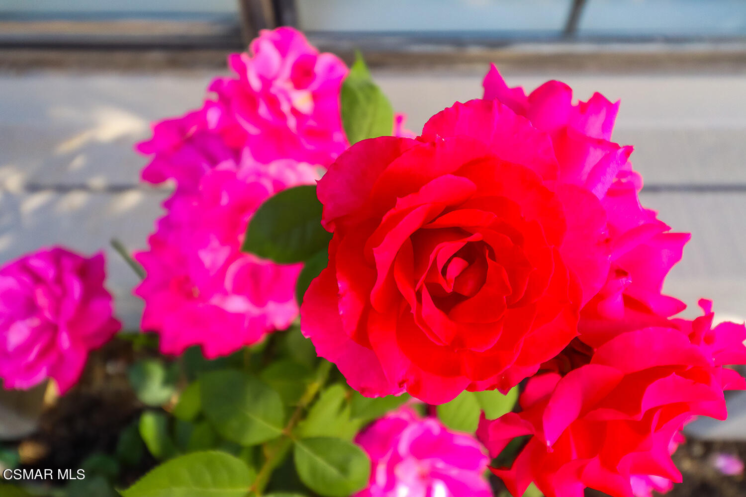 3091 Omega Avenue Simi Valley, CA 93063 - Photo 16 of 66