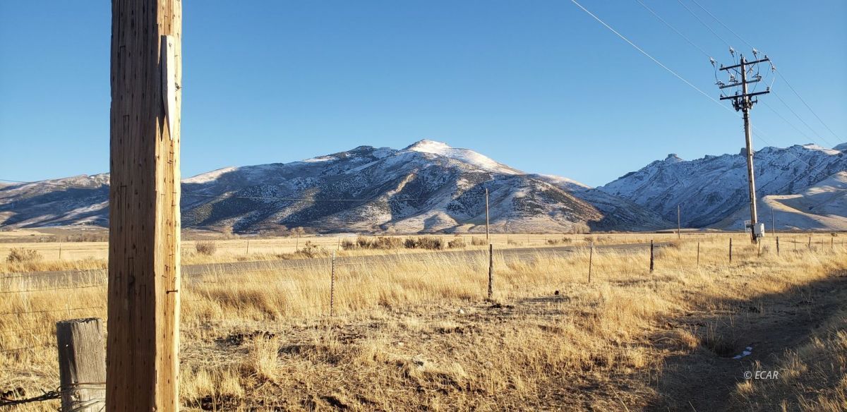 North Canyon Road Lamoille, NV 89828 - Photo 4 of 6