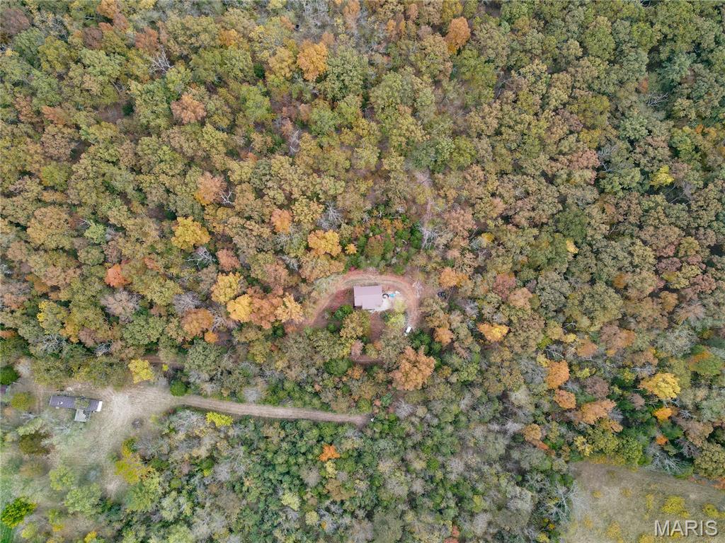 14641 Engledow Springs Road De Soto, MO 63020 - Photo 13 of 21