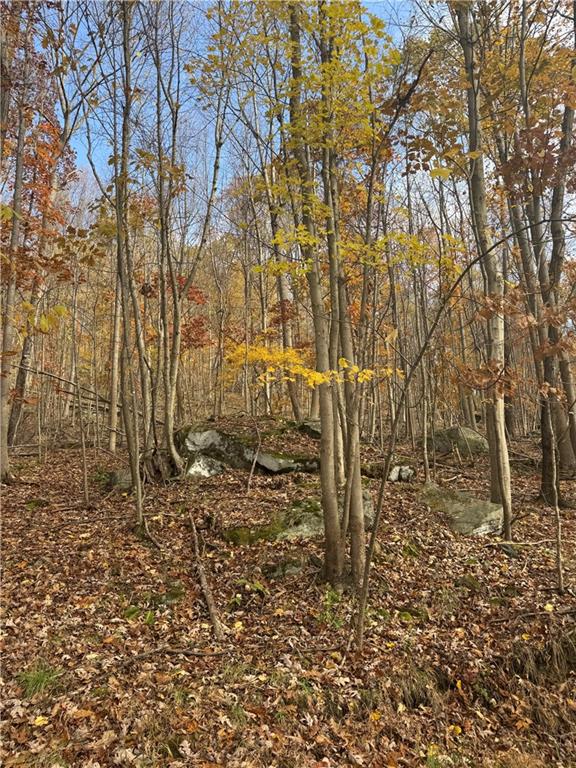 590 Astral Road Franklin, PA 16323 - Photo 21 of 25