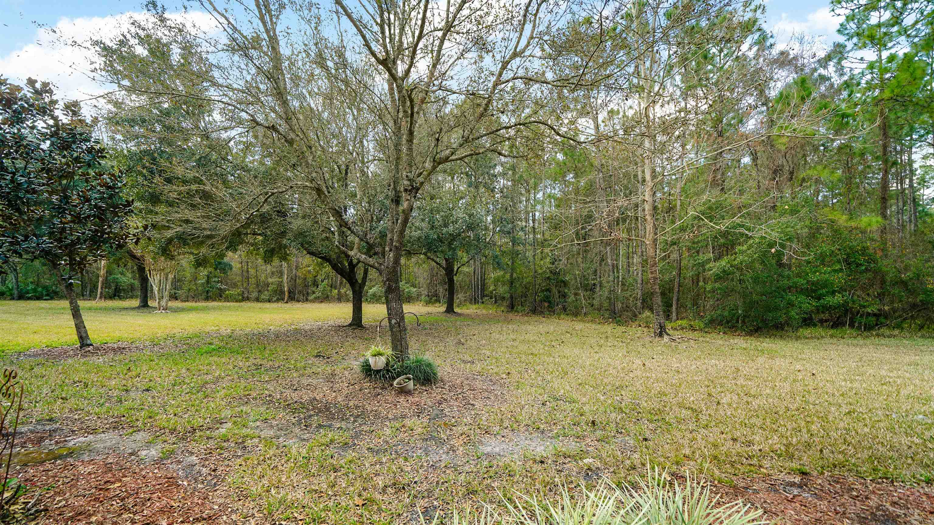 875 Scrub Jay Drive St. Augustine, FL 32092 - Photo 16 of 28