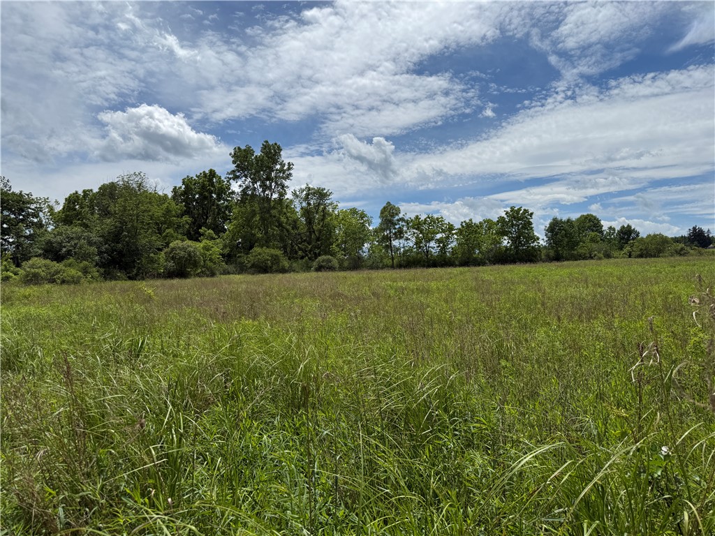 Tucker Road Ithaca, NY 14850 - Photo 19 of 35