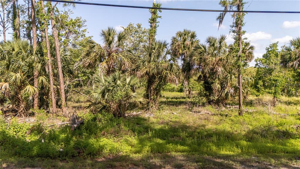1390 Sioux Trail Deltona, FL 32725 - Photo 9 of 27