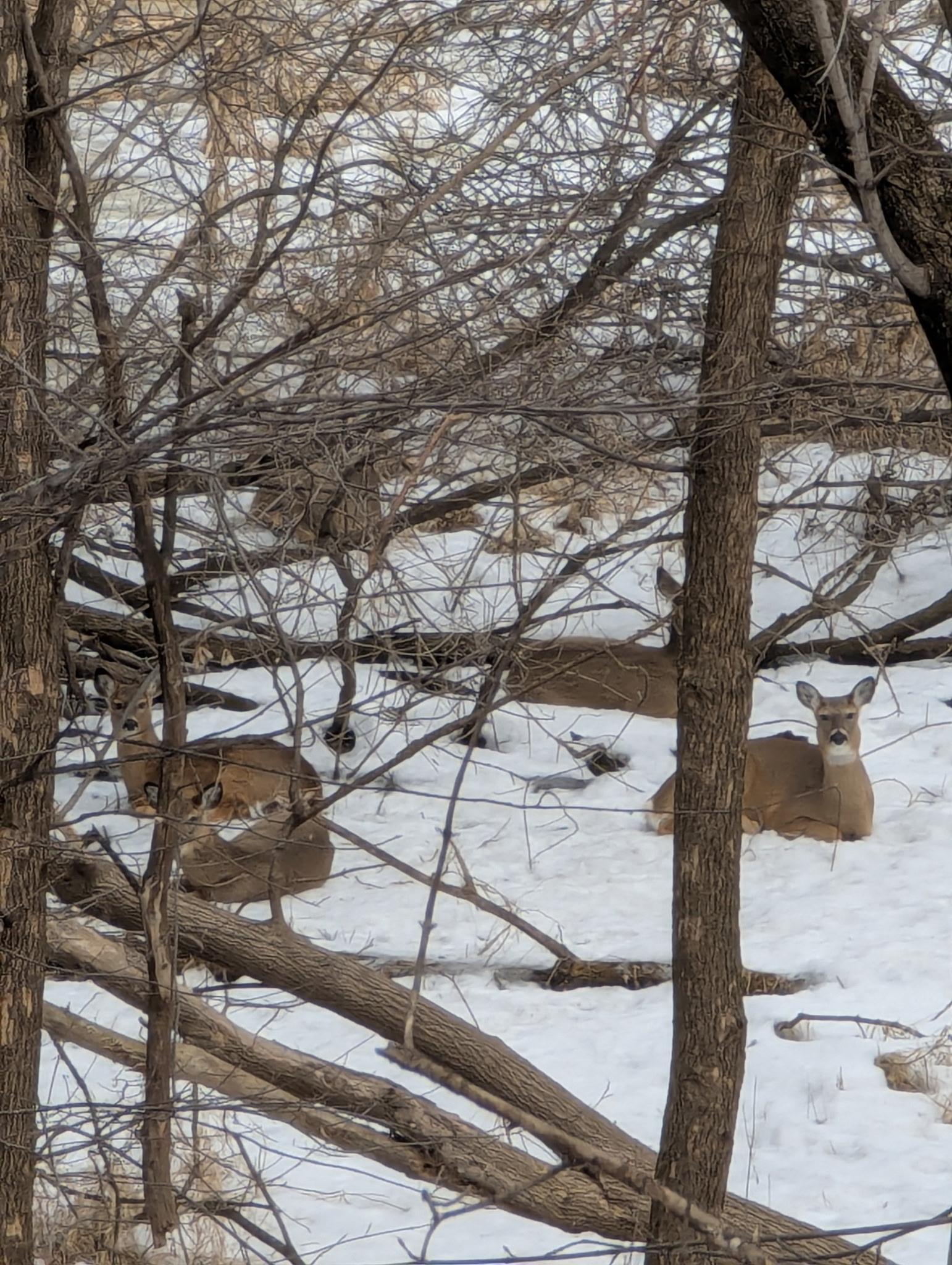 16420 Lake Ridge Drive Maple Grove, MN 55311 - Photo 35 of 36