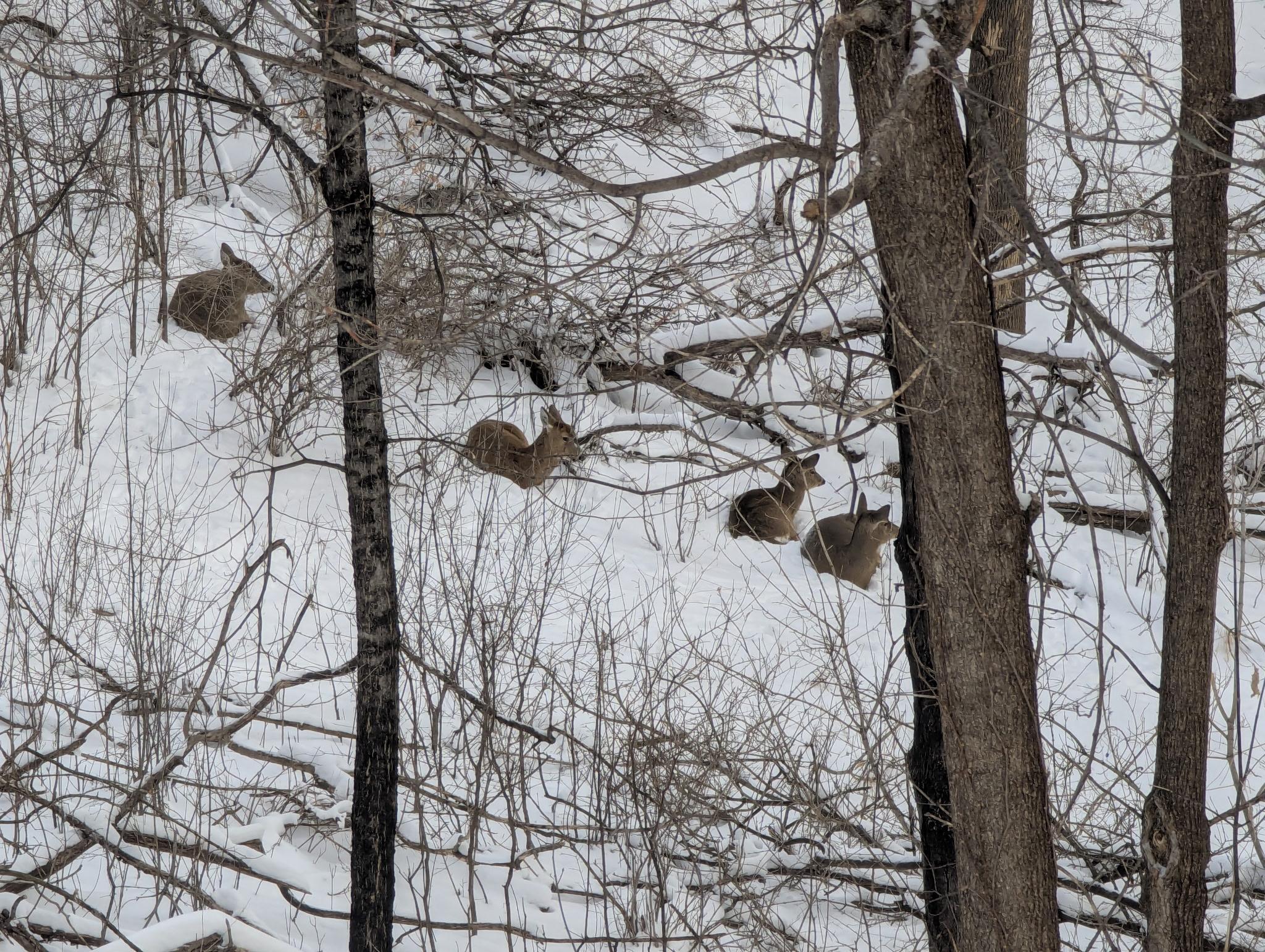 16420 Lake Ridge Drive Maple Grove, MN 55311 - Photo 36 of 36