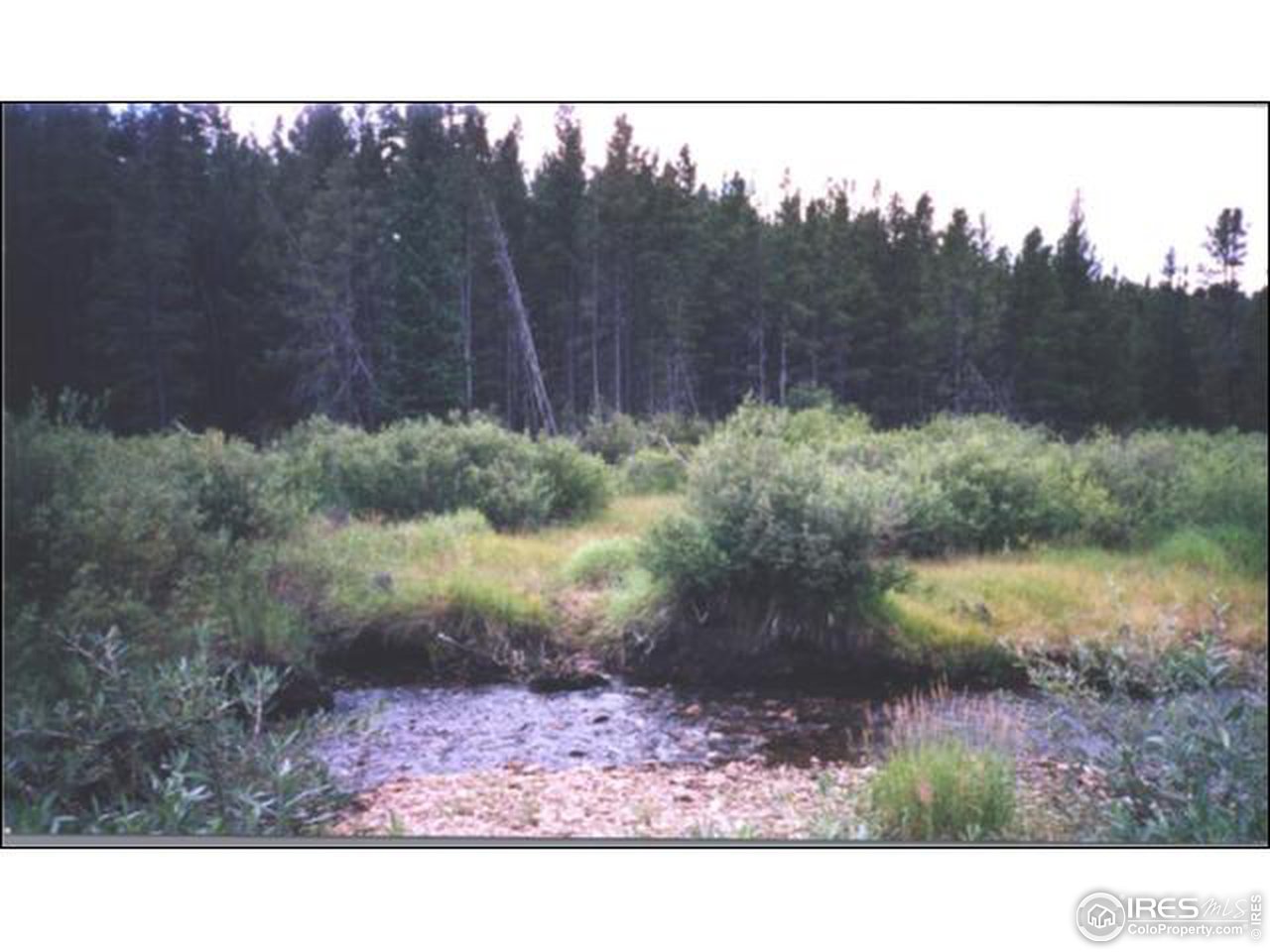 Tami Road Red Feather Lakes, CO 80545 - Photo 1 of 6 Gallery Image 1