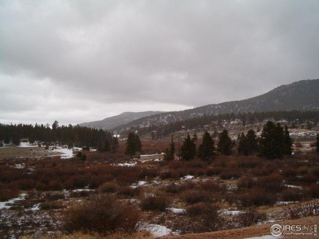 Tami Road Red Feather Lakes, CO 80545 - Photo 2 of 6 Gallery Image 2