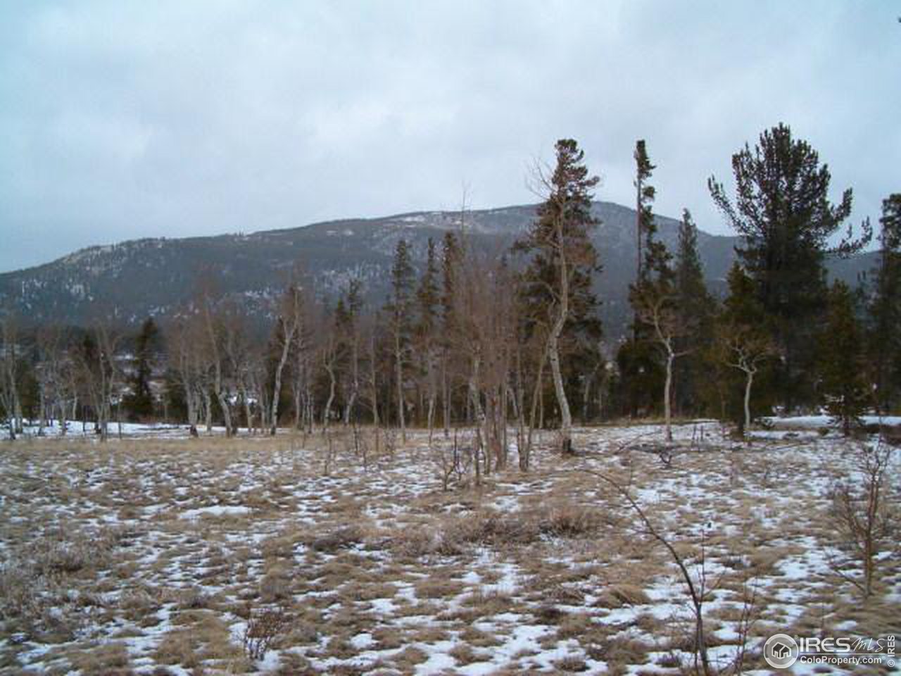 Tami Road Red Feather Lakes, CO 80545 - Photo 3 of 6 Gallery Image 3