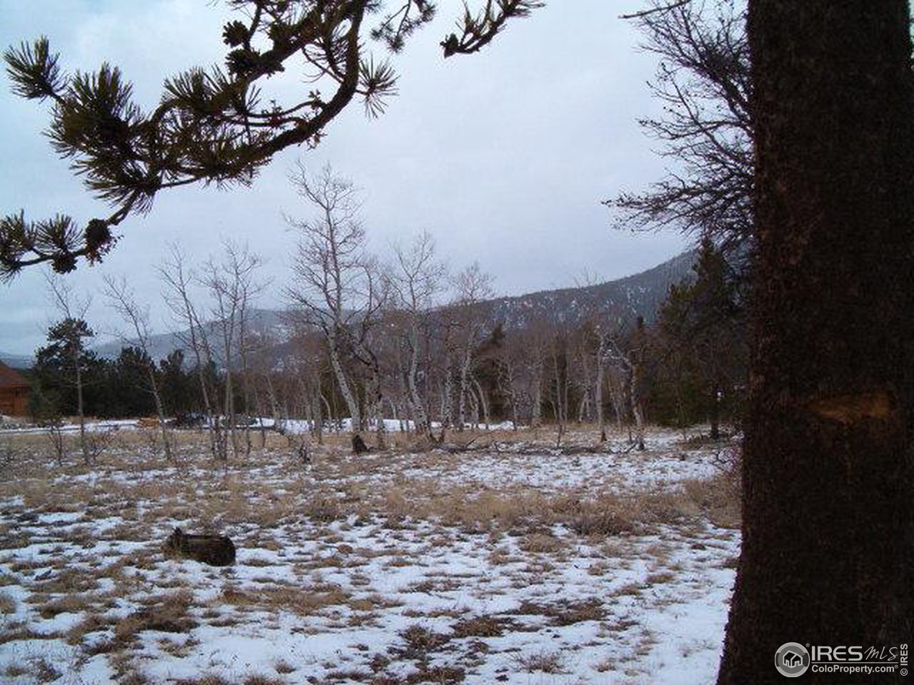 Tami Road Red Feather Lakes, CO 80545 - Photo 4 of 6 Gallery Image 4