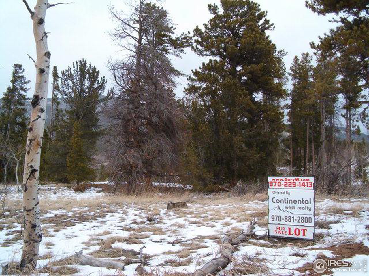 Tami Road Red Feather Lakes, CO 80545 - Photo 5 of 6 Gallery Image 5