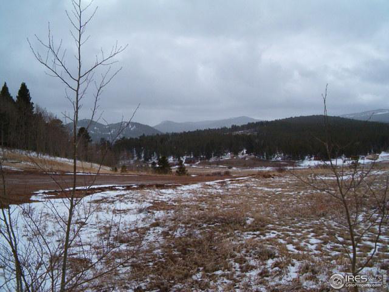 Tami Road Red Feather Lakes, CO 80545 - Photo 6 of 6 Gallery Image 6