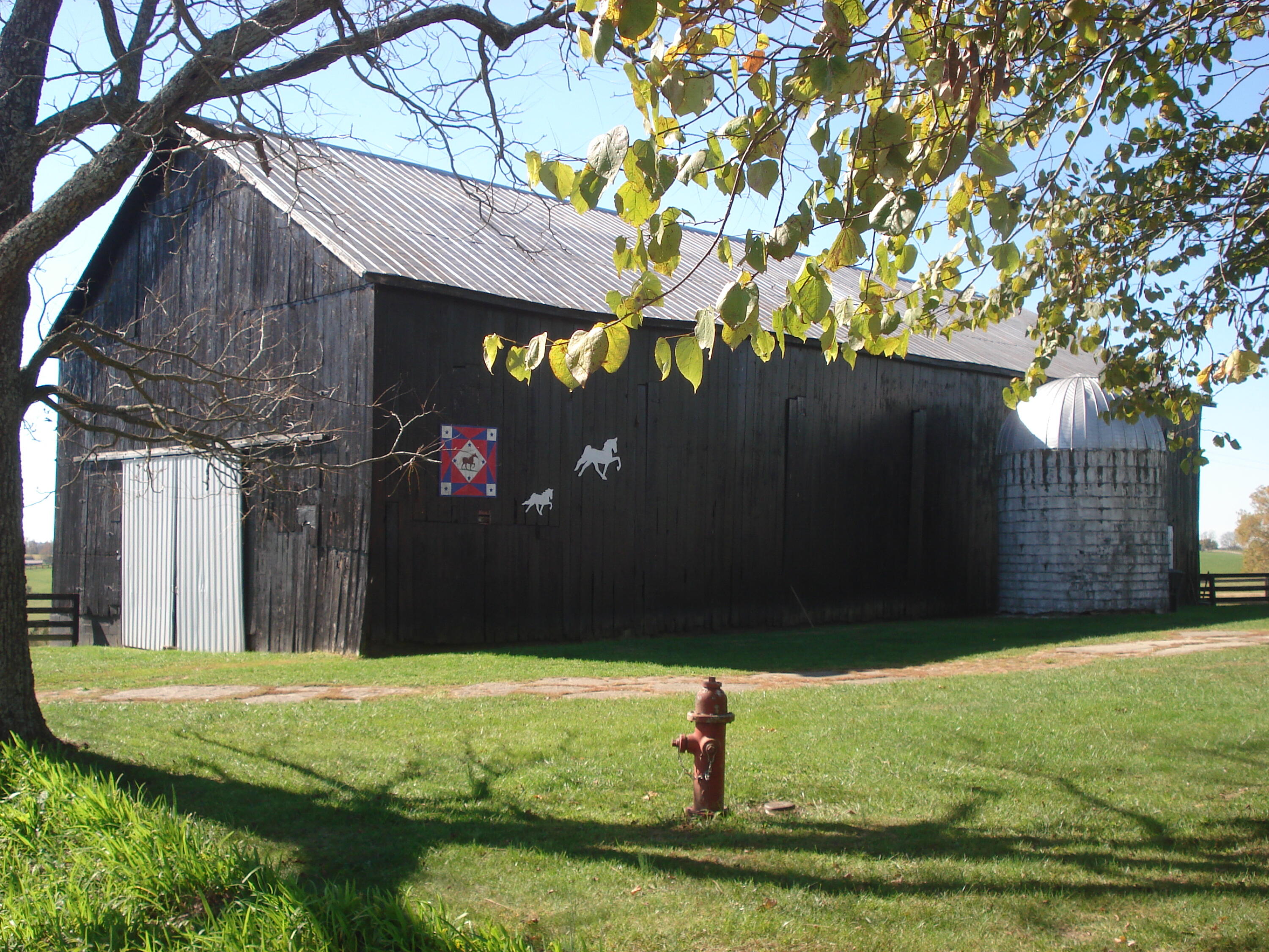 951 Colville Road Paris, KY 40361 - Photo 18 of 22 DSC01303