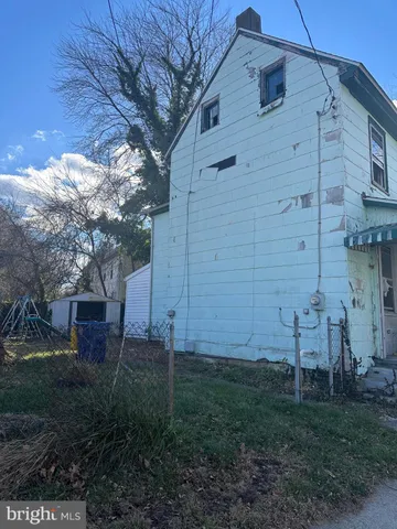 a view of a backyard with plants and a large tree