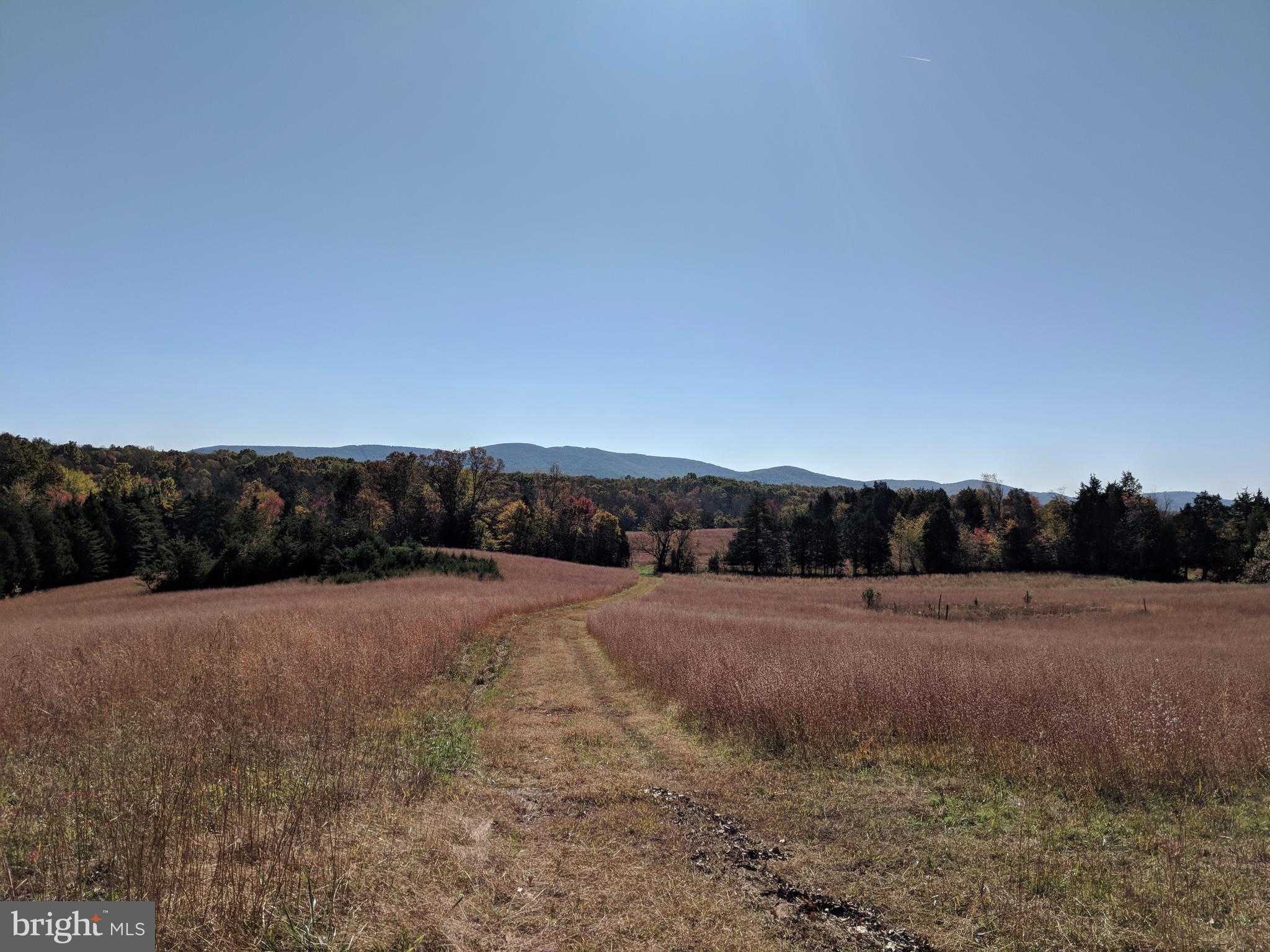 Burnley Road Barboursville, VA 22923 - Photo 1 of 29 View